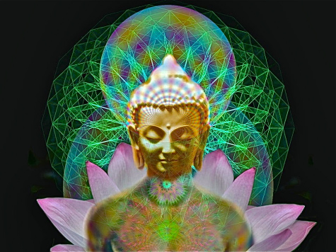 Buddha lotus