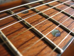 Acoustic-Guitar-fret-board